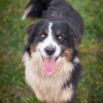 Grande nouvelle chez Dynamik Auto !