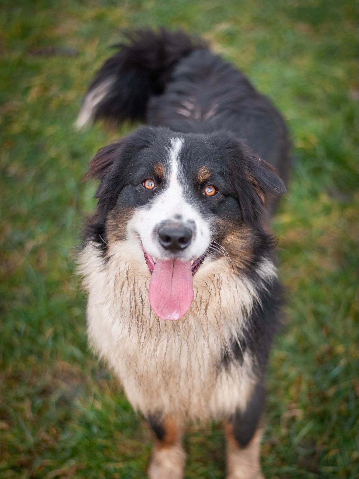 Grande nouvelle chez Dynamik Auto !